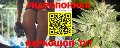 ешки Будённовск