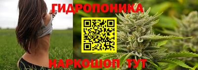 ешки Будённовск